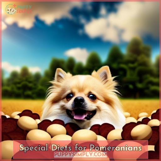 Special Diets for Pomeranians