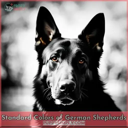 Standard Colors of German Shepherds