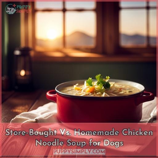 Store-Bought Vs. Homemade Chicken Noodle Soup for Dogs
