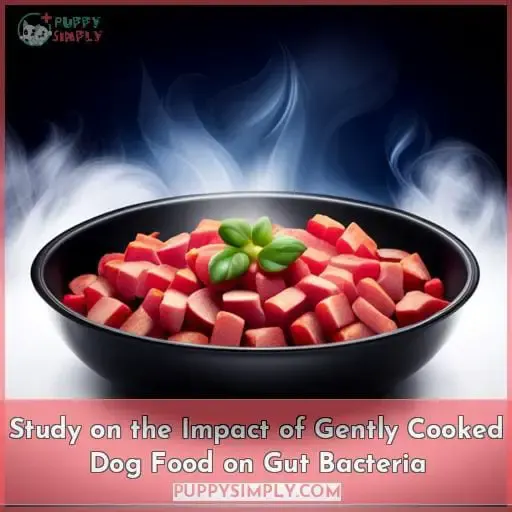 Study on the Impact of Gently Cooked Dog Food on Gut Bacteria