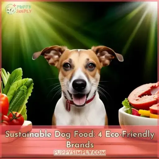 sustainable dog food
