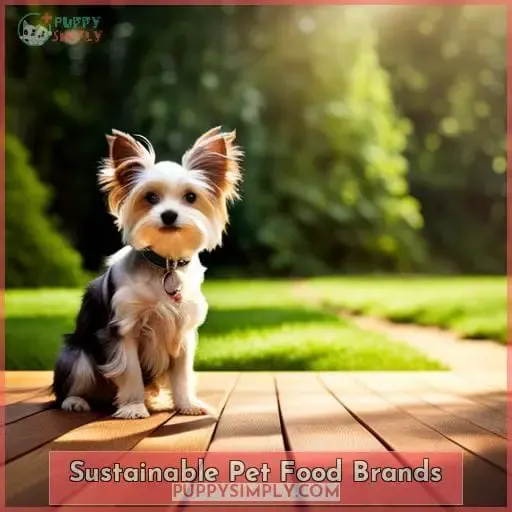 Sustainable Pet Food Brands