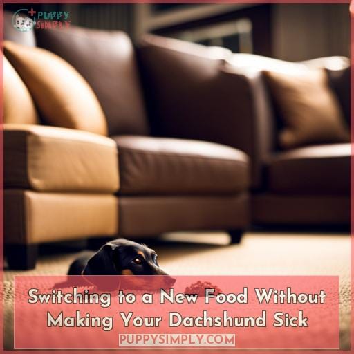 Switching to a New Food Without Making Your Dachshund Sick