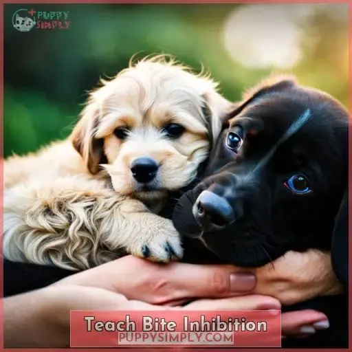Teach Bite Inhibition