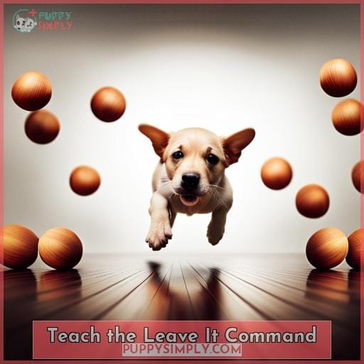 Teach the Leave It Command