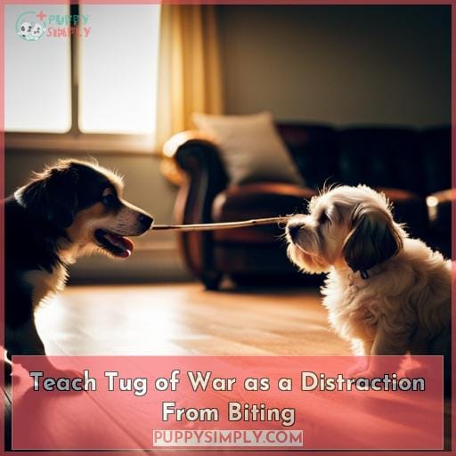 Teach Tug of War as a Distraction From Biting
