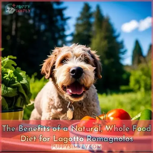 The Benefits of a Natural, Whole Food Diet for Lagotto Romagnolos