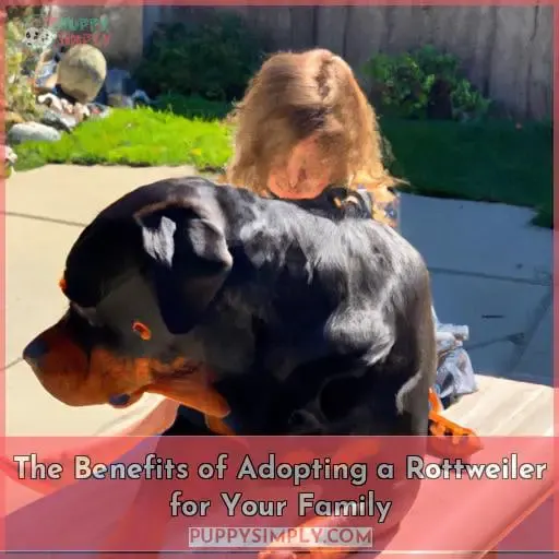 The Benefits of Adopting a Rottweiler for Your Family