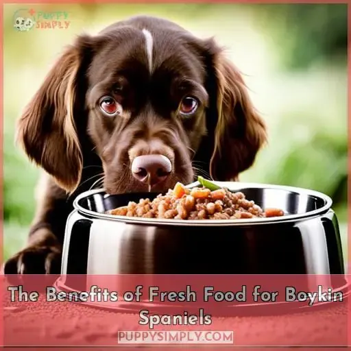 The Benefits of Fresh Food for Boykin Spaniels
