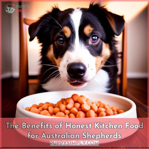 The Benefits of Honest Kitchen Food for Australian Shepherds