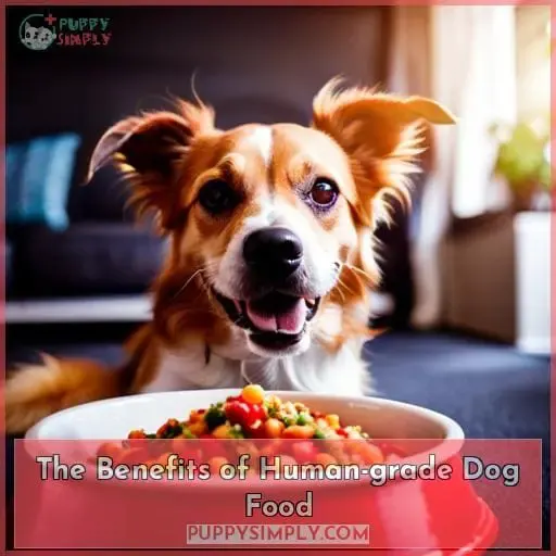 The Benefits of Human-grade Dog Food