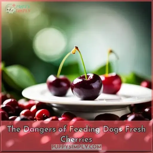 The Dangers of Feeding Dogs Fresh Cherries