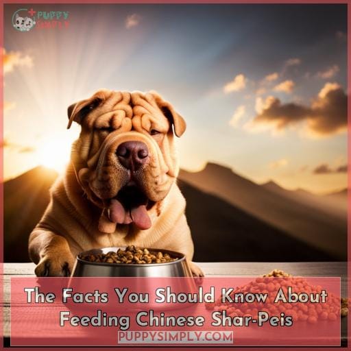 The Facts You Should Know About Feeding Chinese Shar-Peis