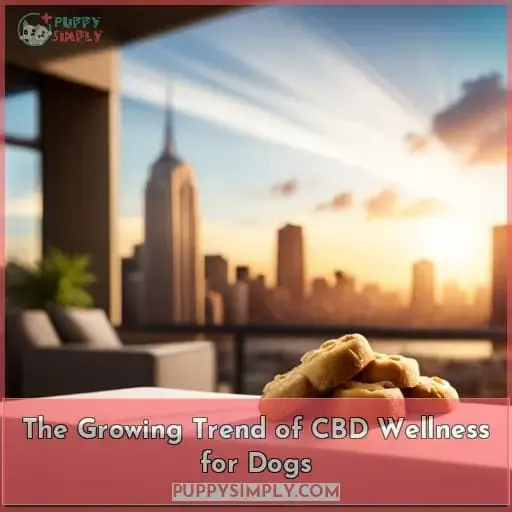 The Growing Trend of CBD Wellness for Dogs