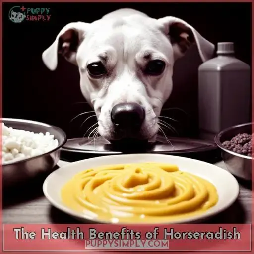 The Health Benefits of Horseradish