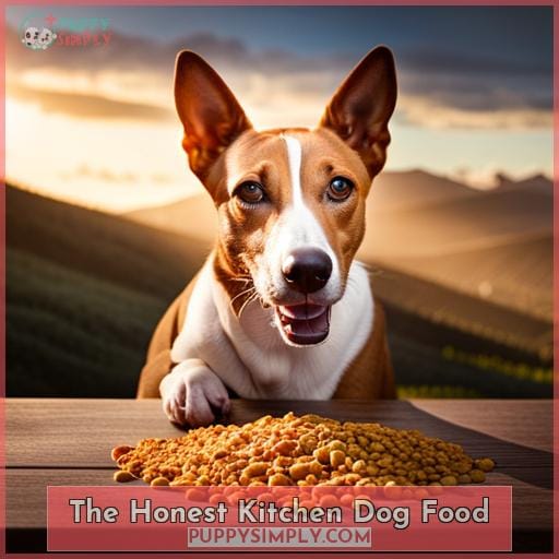 The Honest Kitchen Dog Food