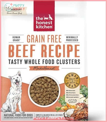 The Honest Kitchen Grain-Free Beef