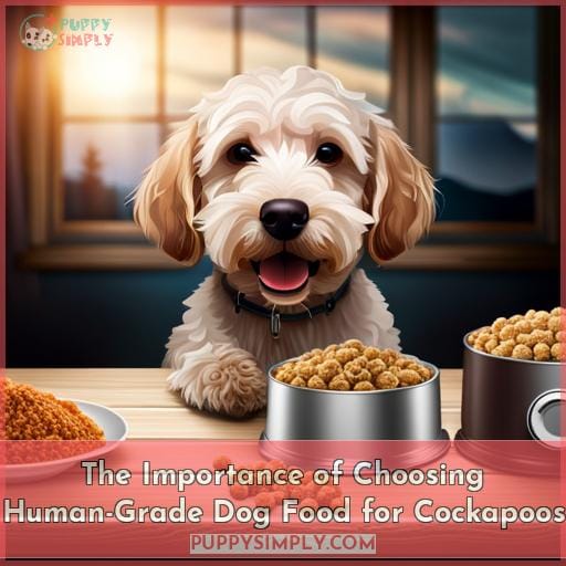 The Importance of Choosing Human-Grade Dog Food for Cockapoos