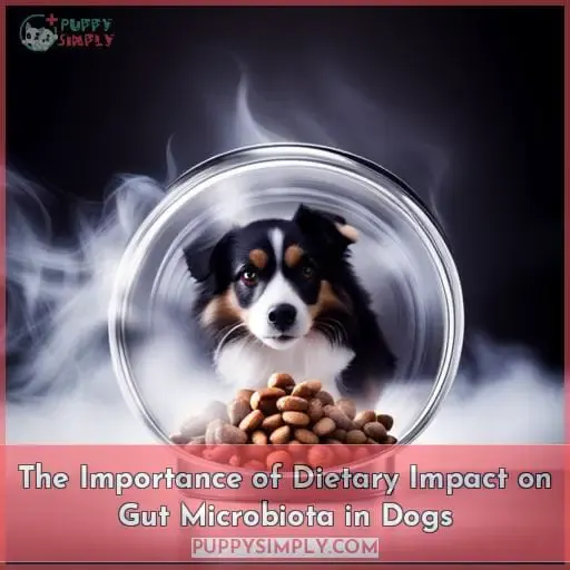 The Importance of Dietary Impact on Gut Microbiota in Dogs