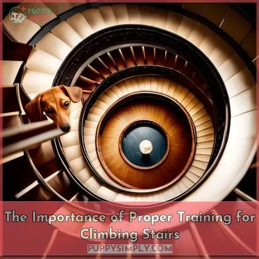 The Importance of Proper Training for Climbing Stairs