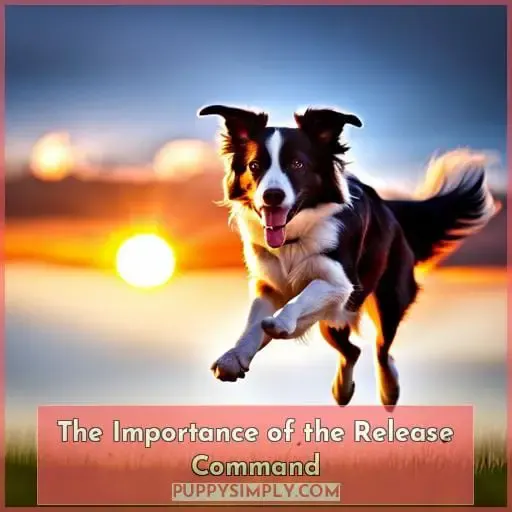 The Importance of the Release Command