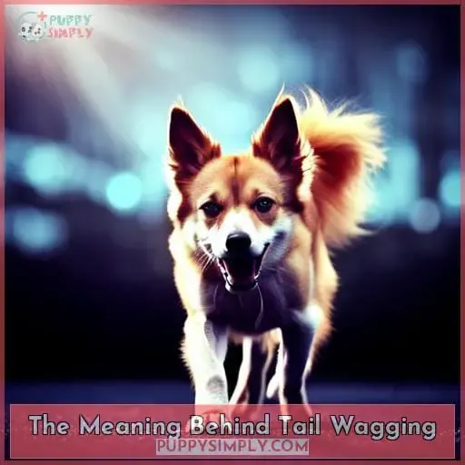 The Meaning Behind Tail Wagging