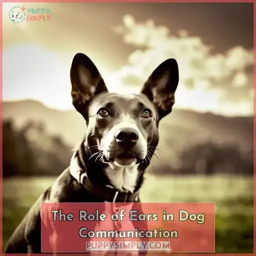 The Role of Ears in Dog Communication