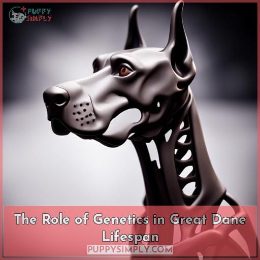 The Role of Genetics in Great Dane Lifespan