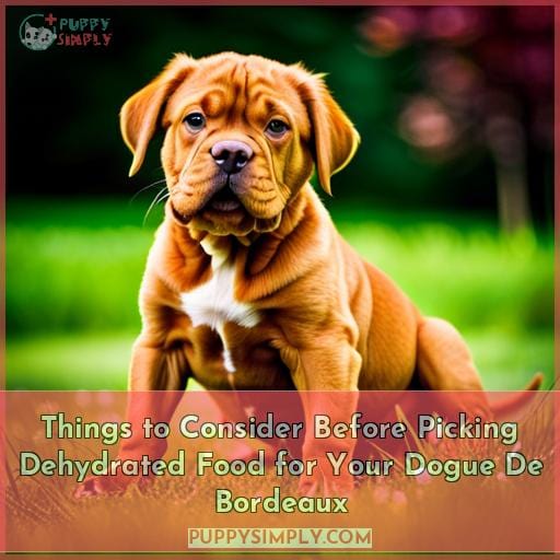 Things to Consider Before Picking Dehydrated Food for Your Dogue De Bordeaux