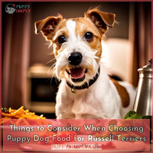 Things to Consider When Choosing Puppy Dog Food for Russell Terriers