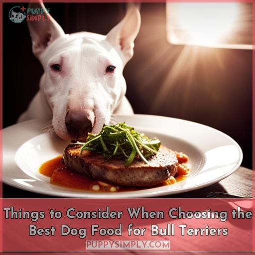 Things to Consider When Choosing the Best Dog Food for Bull Terriers