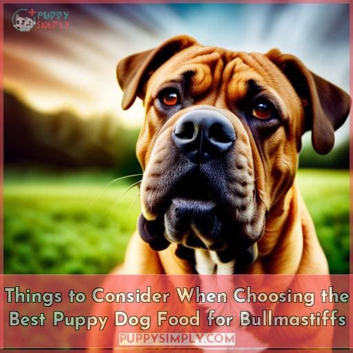 Things to Consider When Choosing the Best Puppy Dog Food for Bullmastiffs