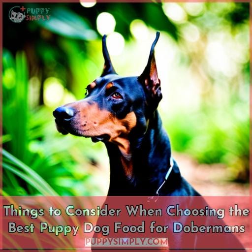 Things to Consider When Choosing the Best Puppy Dog Food for Dobermans