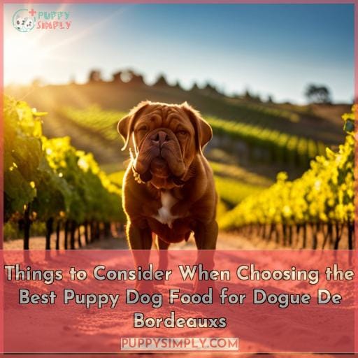 Things to Consider When Choosing the Best Puppy Dog Food for Dogue De Bordeauxs