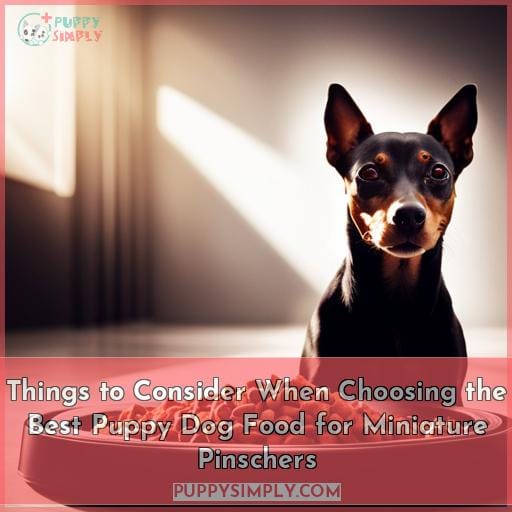 Things to Consider When Choosing the Best Puppy Dog Food for Miniature Pinschers