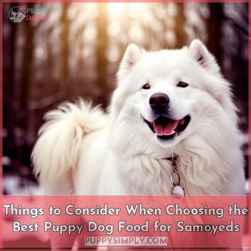 Things to Consider When Choosing the Best Puppy Dog Food for Samoyeds