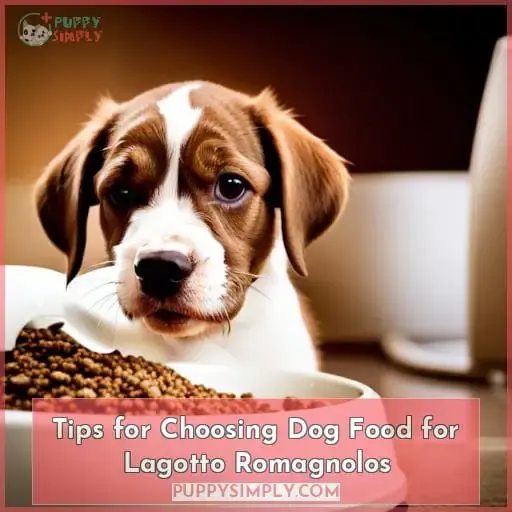 Tips for Choosing Dog Food for Lagotto Romagnolos