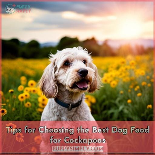 Tips for Choosing the Best Dog Food for Cockapoos