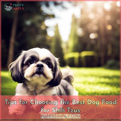 Tips for Choosing the Best Dog Food for Shih Tzus