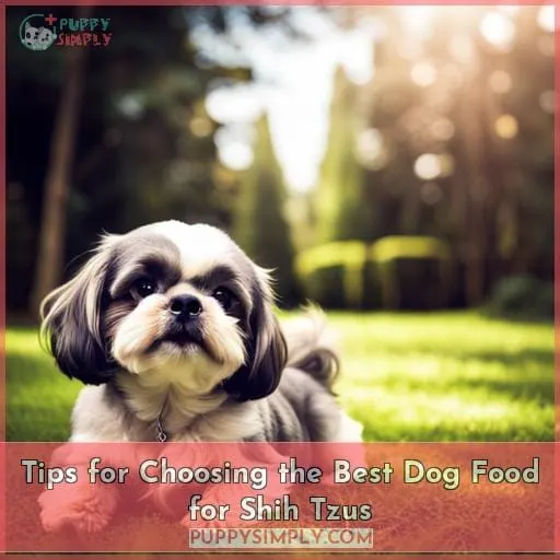 Tips for Choosing the Best Dog Food for Shih Tzus