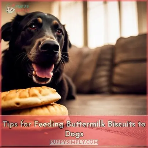 Tips for Feeding Buttermilk Biscuits to Dogs