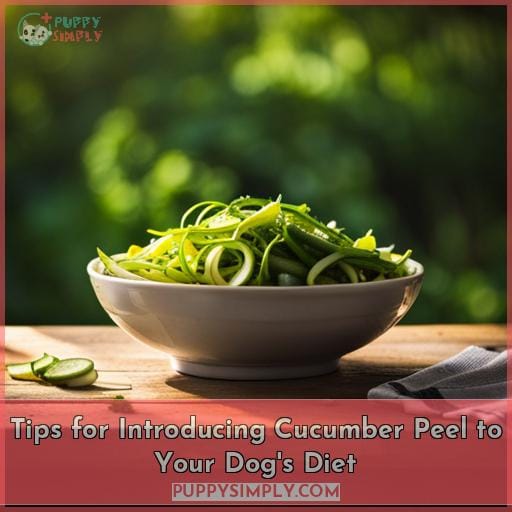 Tips for Introducing Cucumber Peel to Your Dog