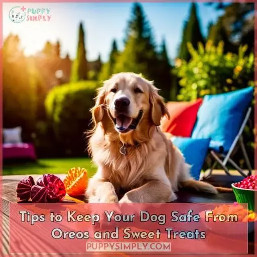 Tips to Keep Your Dog Safe From Oreos and Sweet Treats