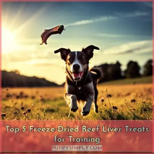 Top 5 Freeze-Dried Beef Liver Treats for Training