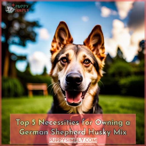 Top 5 Necessities for Owning a German Shepherd Husky Mix