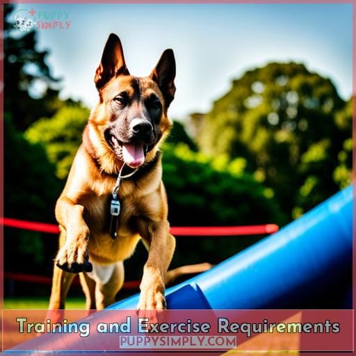 Training and Exercise Requirements