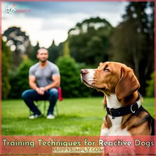 Training Techniques for Reactive Dogs
