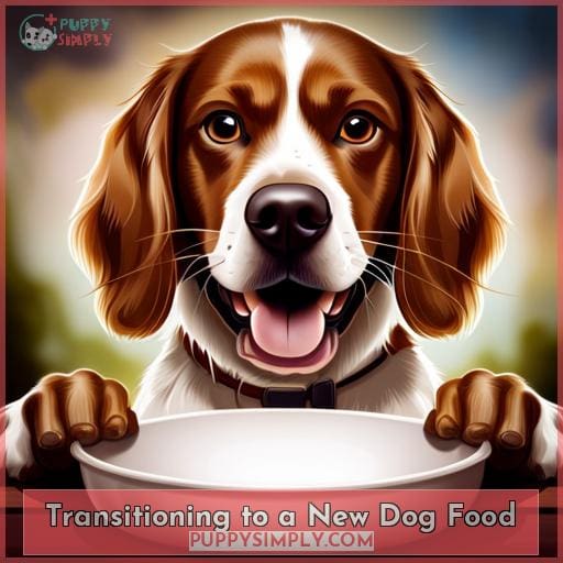 Transitioning to a New Dog Food