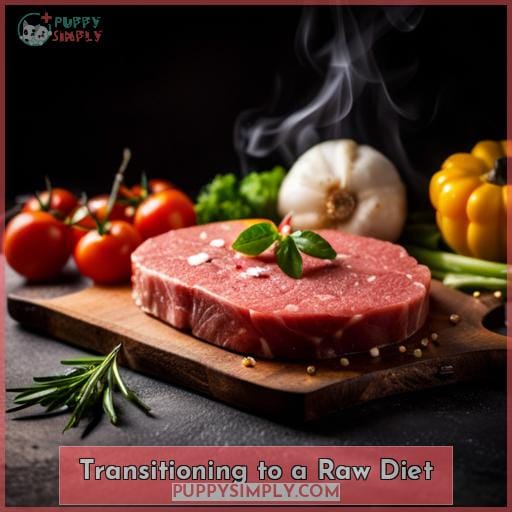 Transitioning to a Raw Diet