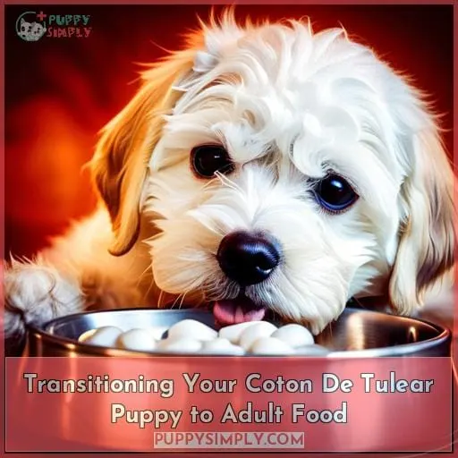 Transitioning Your Coton De Tulear Puppy to Adult Food